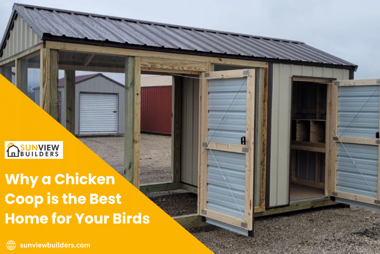 Why a Chicken Coop is the Best Home for Your Birds